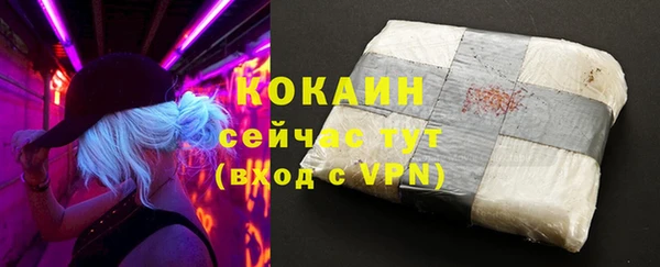 соль ск Белокуриха
