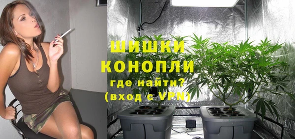 трава Беломорск
