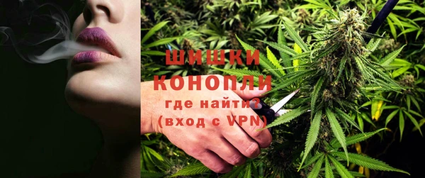 соль ск Белокуриха