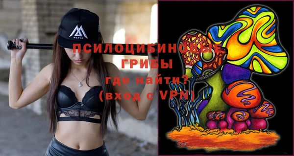 трава Беломорск