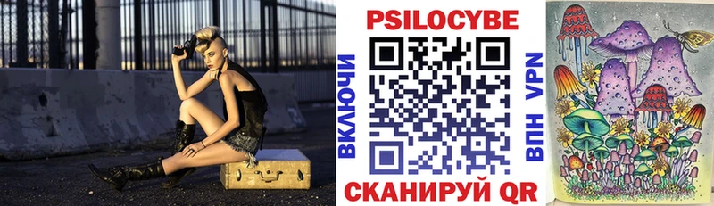 Псилоцибиновые грибы Psilocybe  Пойковский 